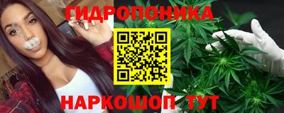 крисы Мариинск