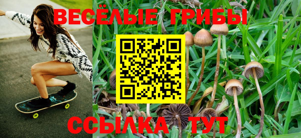 Галлюциногенные грибы Magic Shrooms  цены наркотик  Дивногорск  Вход с VPN 